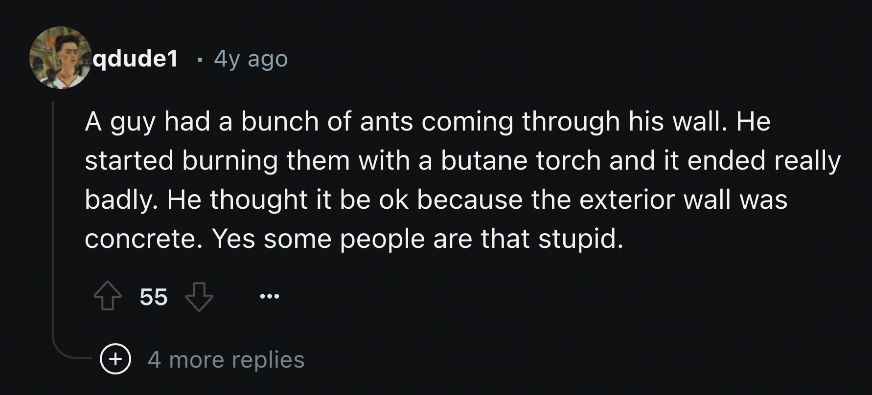 screenshot - qdude1 .4y ago A guy had a bunch of ants coming through his wall. He started burning them with a butane torch and it ended really badly. He thought it be ok because the exterior wall was concrete. Yes some people are that stupid. 55 4 more re